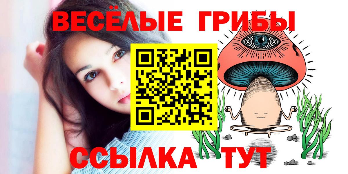 Галлюциногенные грибы прущие грибы Саратов