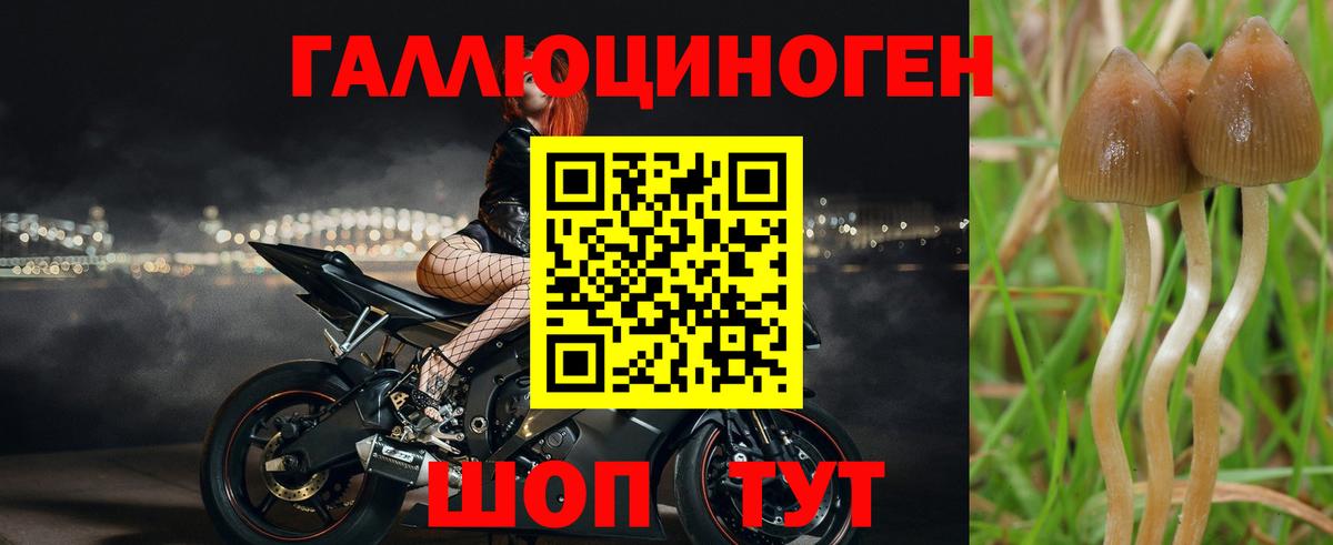 даркнет сайт  Псилоцибиновые грибы прущие грибы  Саратов  Вход с VPN  Галлюциногенные грибы прущие грибы 